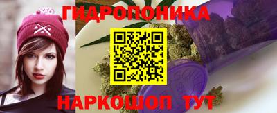 a pvp Кулебаки