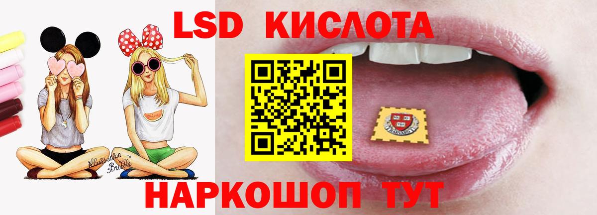 LSD-25 экстази  Вход с VPN  ЛСД экстази кислота  Заводоуковск  Лсд 25 экстази ecstasy 