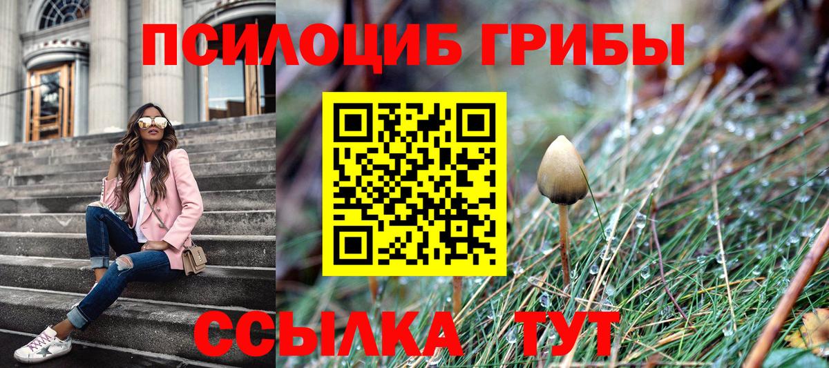 Галлюциногенные грибы ЛСД Заводоуковск