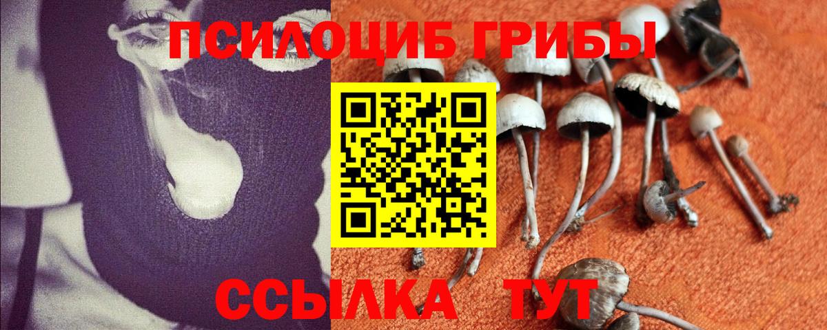 Заводоуковск  Псилоцибиновые грибы Cubensis  Вход с VPN  Галлюциногенные грибы прущие грибы 